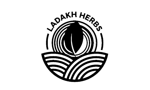 Client logo 06